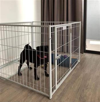   Dieses Freilaufgitter ist geeignet f&uuml;r Kleintiere. Es ist stabil verschraubt, um ein Ausbrechen der Tiere verhindern zu k&ouml;nnen.   Zus&auml;tzlich ist eine T&uuml;r mit einer Verriegelung verbaut, welche nach  Au&szlig;en ge&ouml;ffnet werden kann. Durch die H&ouml;he des Freilaufgitters k&ouml;nnen  Ihre Tiere nicht ausbrechen. Das Gitter kann au&szlig;erdem an den  Verschraubungen auseinander gebaut werden. Somit k&ouml;nnen Sie den Freilauf  ganz einfach von Ort zu Ort transportieren. Selbst in zusammen gebauter  Form ist es nicht zu gro&szlig; und zu schwer um es an einen anderen Platz zu  tragen.  
  Vier Gitter mit Verschraubungen incl. eingebauter T&uuml;re  
 &nbsp; 
     